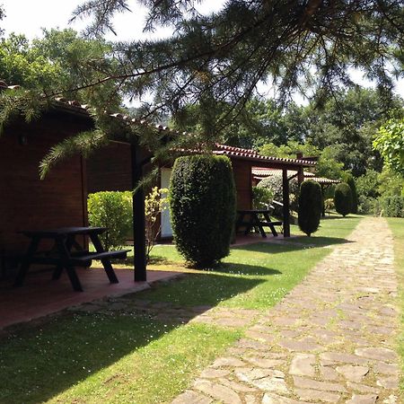 Camping Ecologic Lava Santa Pau Extérieur photo